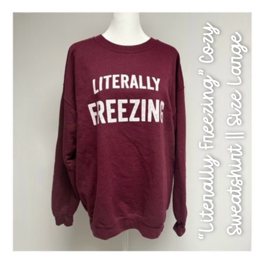 ✨ “Literally Freezing” Cozy Sweatshirt || Size Large